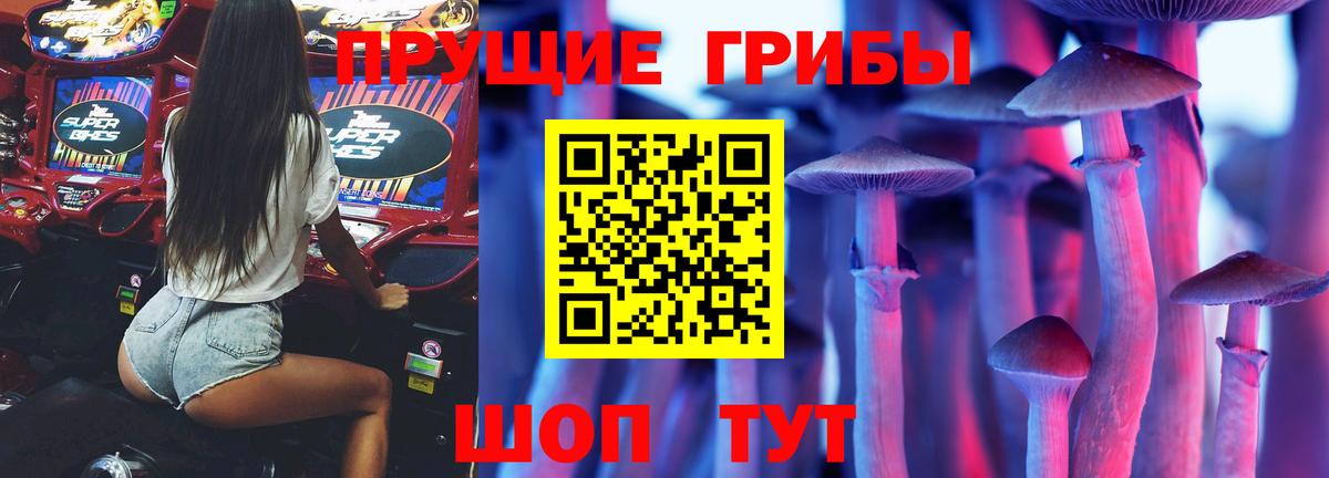 цены наркотик  Галлюциногенные грибы Psilocybine cubensis  Вход с VPN  Белорецк 